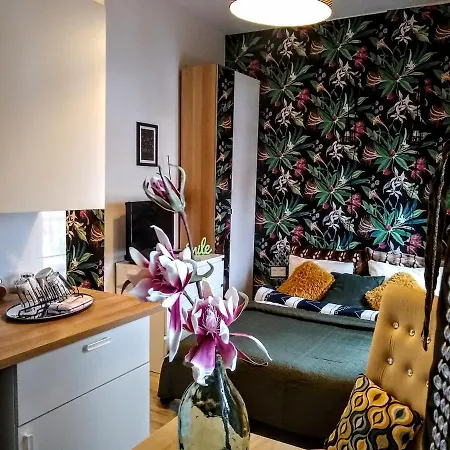 Butikevita Spodek By Walk Apartmán