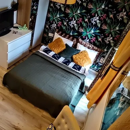 Apartment Butikevita Spodek By Walk Katowice