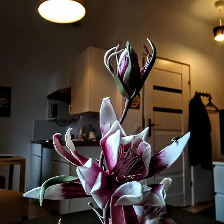Butikevita Spodek By Walk Apartment Katowice