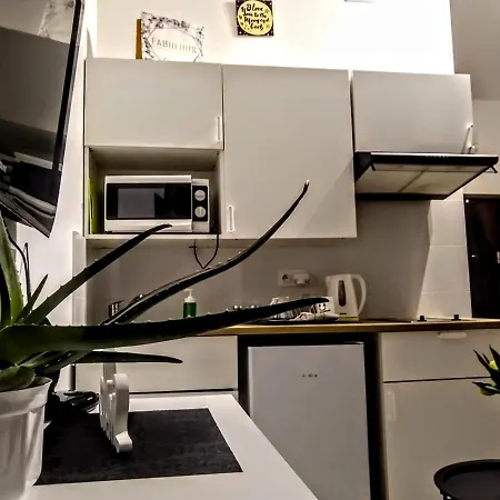 Butikevita Spodek By Walk Apartmán *